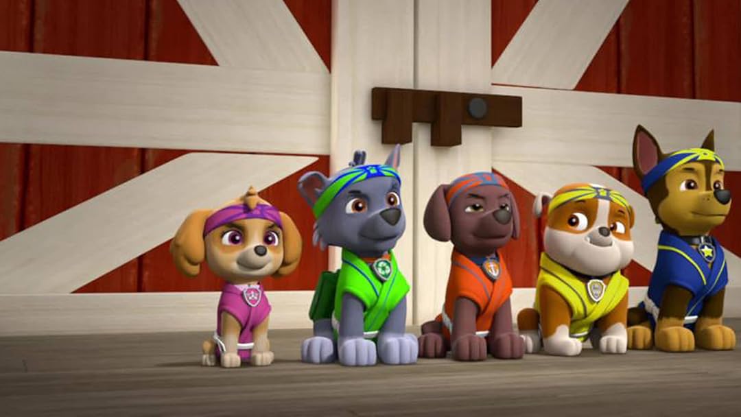 Paw Patrol Season 4 รีวิวหนัง
